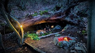 การตั้งแคมป์ในป่าในที่พักพิงเพื่อการเอาตัวรอดแบบดึกดำบรรพ์ - ที่พักพิงแบบบุชคราฟต์ธรรมชาติ