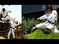 Jump Kick Karate