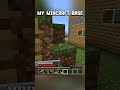 You guys like or no #gaming #gameplay #minecraft #fyp