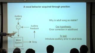 Vocal Motor Control and Sensorimotor Learning: Behavior, Physiology, and Biomechanics