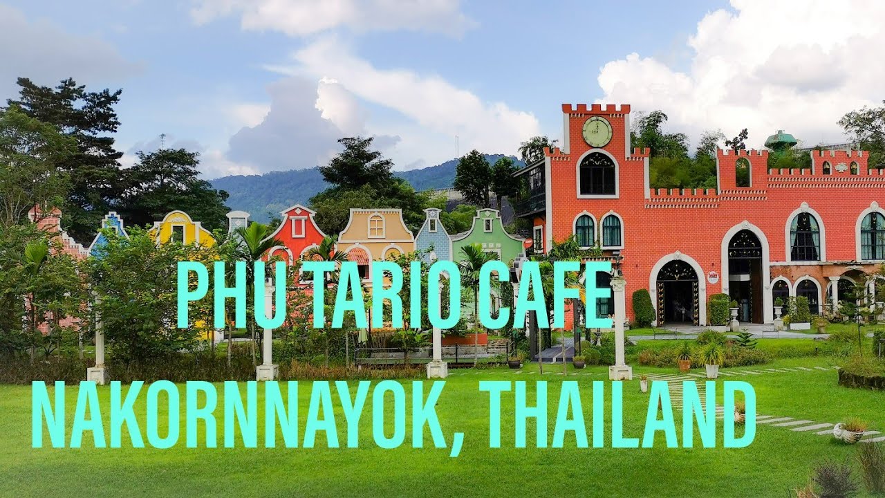 Ep.42 Phu Tario Cafe at Phu Aiyara Resort, Nakornnayok ภู ทาริโอ คาเฟ่  ที่ภูไอยรา รีสอร์ท นครนายก - YouTube