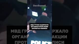МВД Грузии задержало организаторов акции протеста в Тбилиси