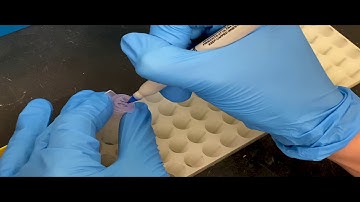 QIAquick PCR Purification
