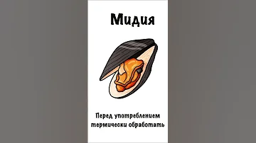 В чём отличие устриц от мидий. Какая разница. Почему так говорят? #shorts