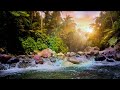 🌌 Sleep Drone, River Sounds, Deep Relaxation, Sleep Music, Ambience 🌊 Starlit Waters #relaxing