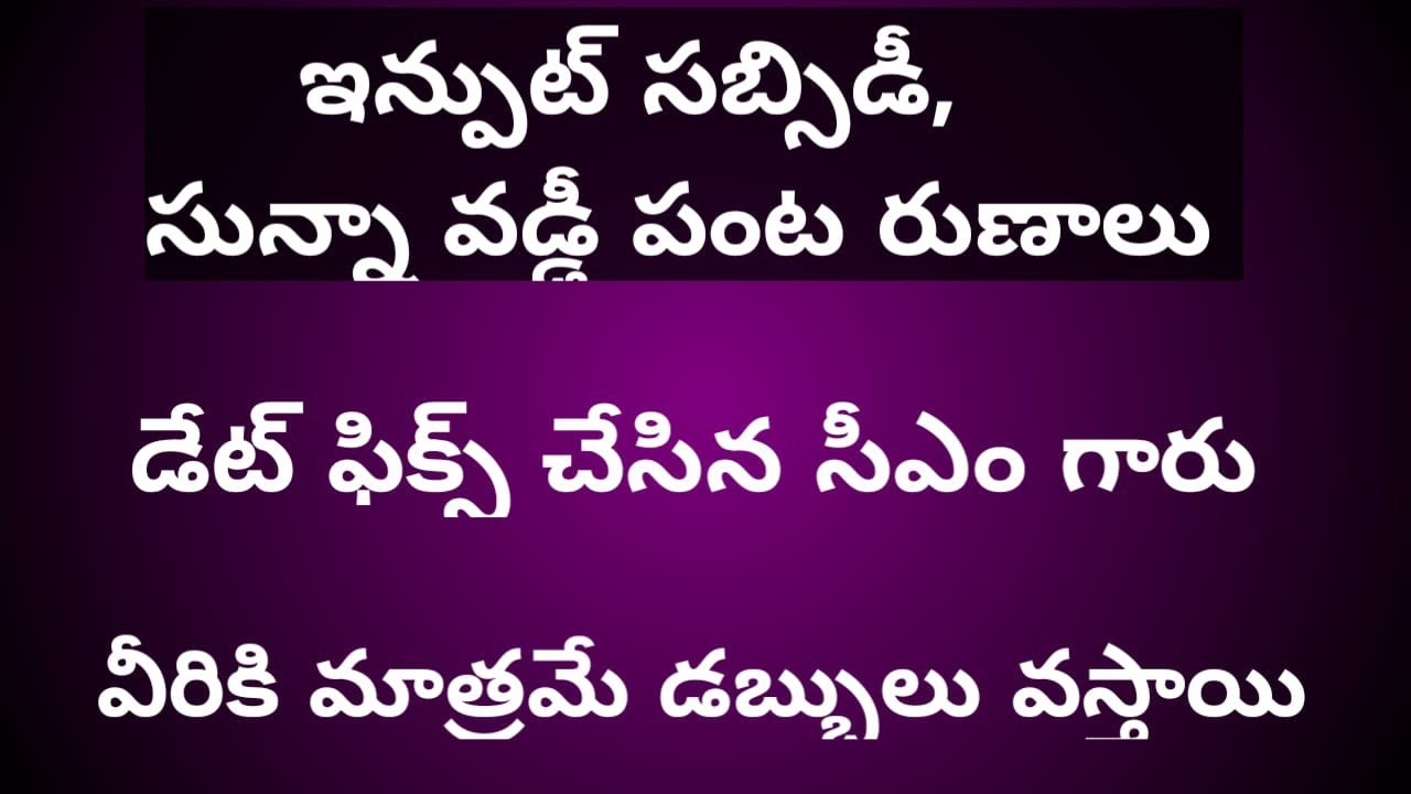 ఇన్పుట్ subsidy|sunna vaddi panta runalu|input subsidy amount release date|sunna vaddi runalu news
