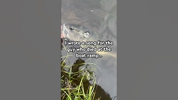 Thumbnail of Like and subscribe #bass #fishing #freshwaterfish #bluegill #fish #fishspecies