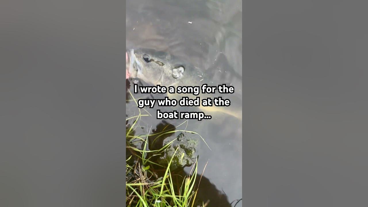 Like and subscribe #bass #fishing #freshwaterfish #bluegill #fish #fishspecies