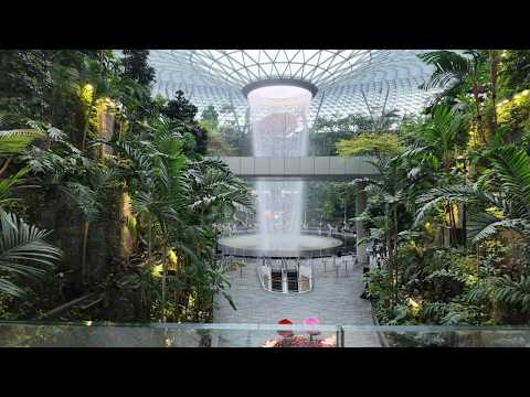 Discovering the Beauty of Jewel Changi Airport 2026.