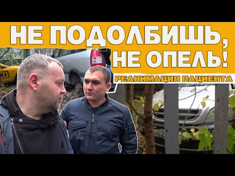 Video: Molyneux Zanika Govorice O Odpuščanju, Ko Se Microsoft Zapira V Lionhead