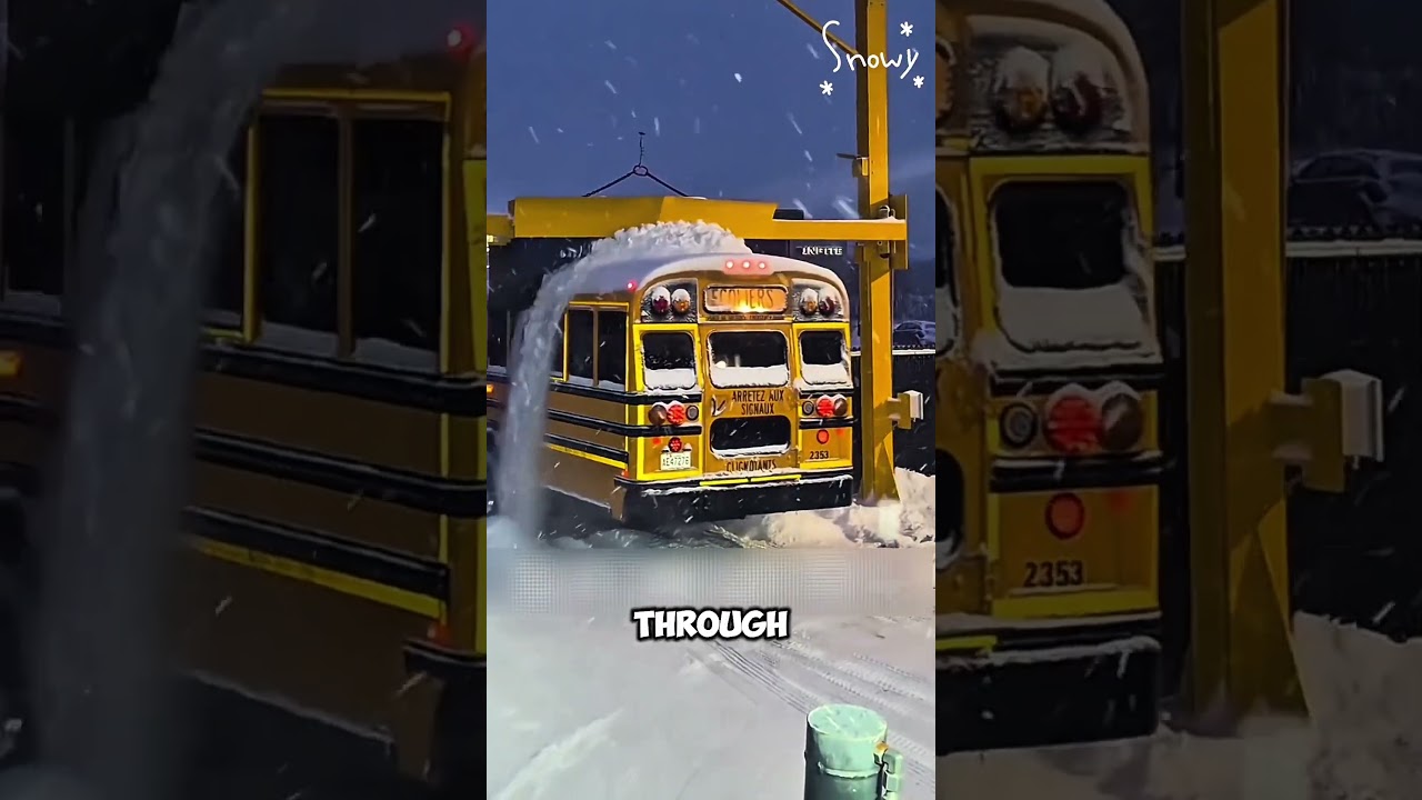 Регулируемая система штанг для удаления снега с крыш автобусов и грузовиков.