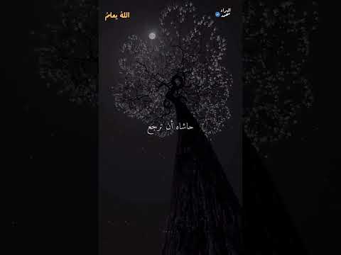 لكن لنا فيه ظن لا يخيبنا البراء محمد المحتوى الرائج للموسيقى اكسبلور لايك الشيخ راحة نفسية