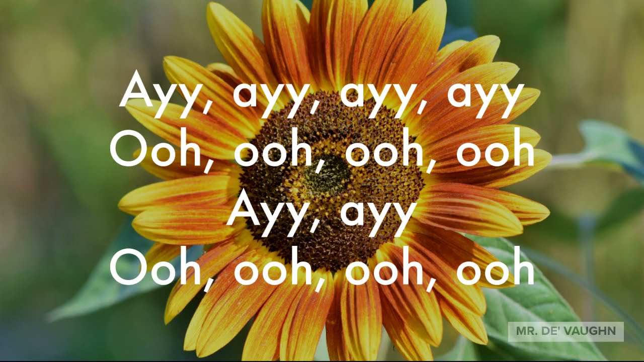 Sunflower Lyrics (Clean) YouTube