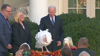VIDEO NOW: President Biden pardons Thanksgiving turkeys Peanut Butter and Jelly
