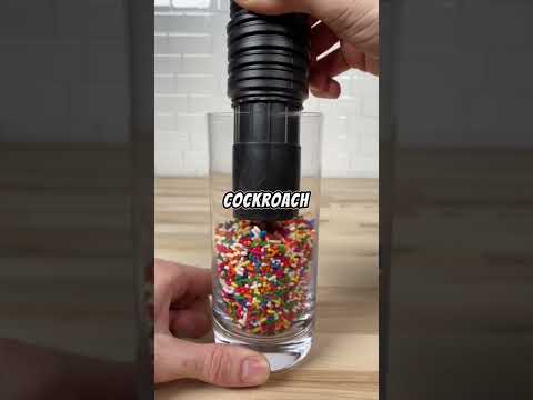 #facts #randomfacts #satisfying #amazingfacts #viral