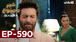 Shajar-e-Mamnu | Episode 590 | Turkish Drama| Forbidden Fruit | Urdu Dubbing |19 September 2023