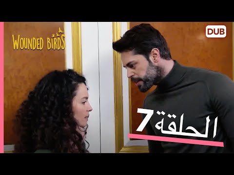 الطيور الجريحة الحلقة الكاملة 7 مدبلج عربي