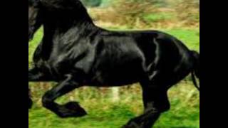 La Belleza Negra Grupo Laberinto