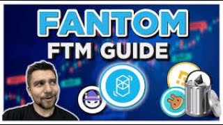 Flash Loan Arbitrage Fantom Tutorial | EARN $1000/DAY Passive | Yield 1000 FTM Daily