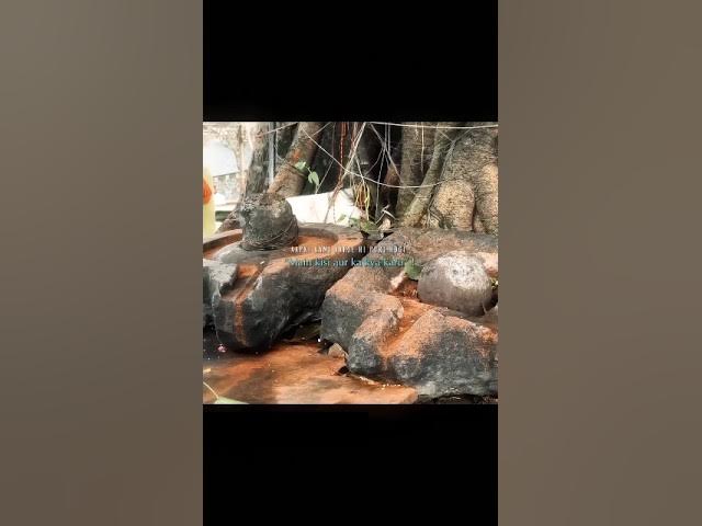 Mahadev status 💞 shiv status video 💫 bholenath status video #shorts