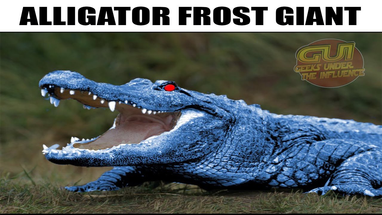 Alligator Loki Memes