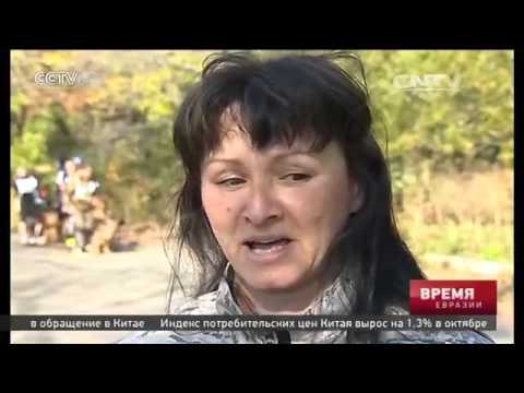 Во Владивостоке состоялись соревнования по кинологическому военизированному троеборью