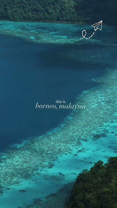 Borneo, Malaysia 🌴🌺