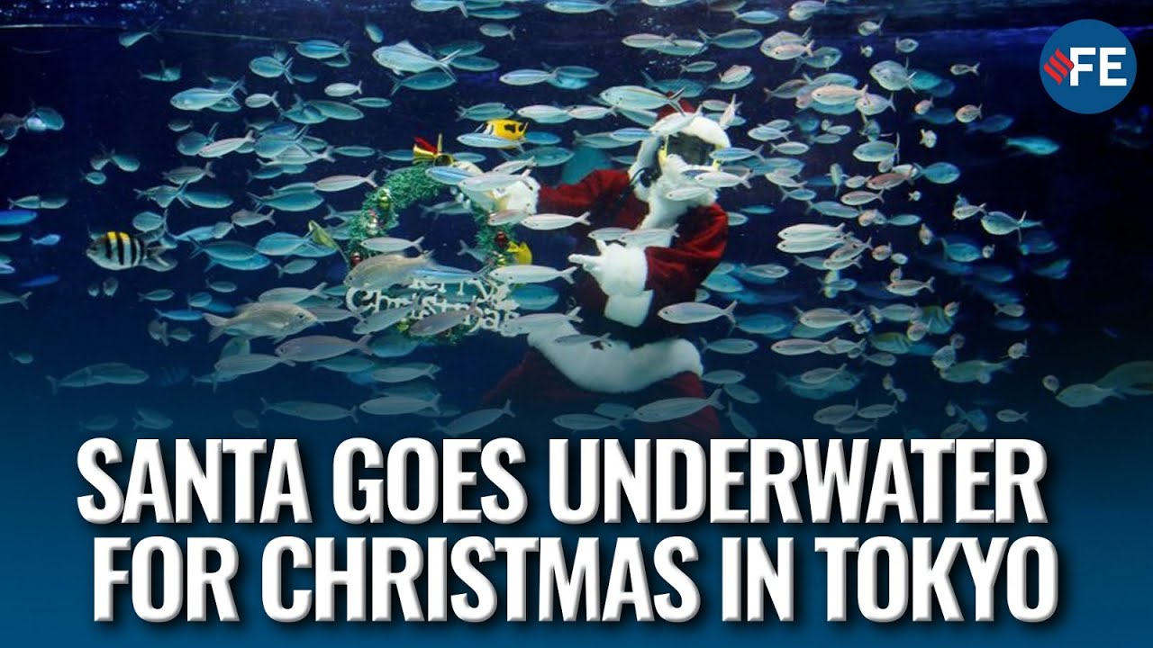 Why Did Santa Dive Underwater? Tokyo Aquarium Turns Festive With Christmas Surprise
