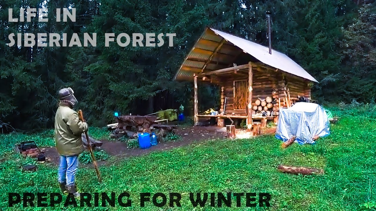 Alone Building a Log Cabin in the Siberian Forest - Preparing for ...