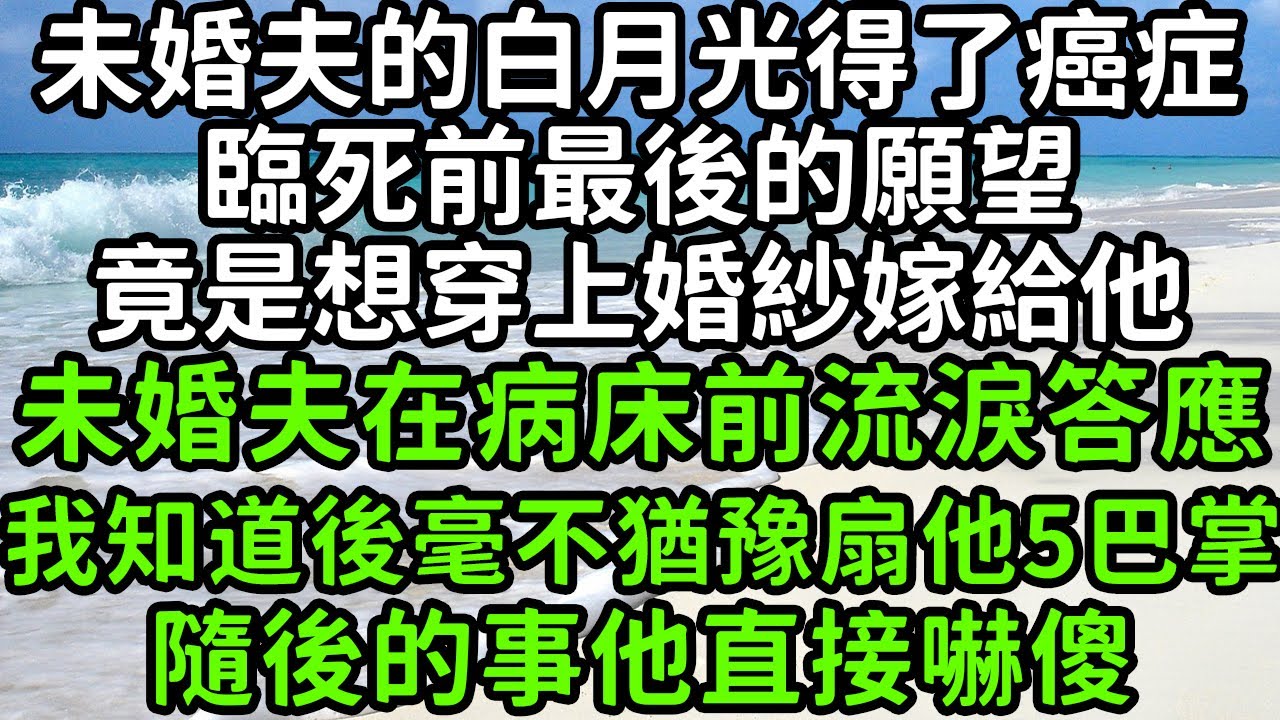 [MULTI SUB]💕范轻舟和林语清是冤家死对头，两人意外酒后有了夫妻之实 《林大小姐有点野》#nmzl#瑪麗蘇#短劇推薦#霸总 #都市 #爱情 #大陸短劇