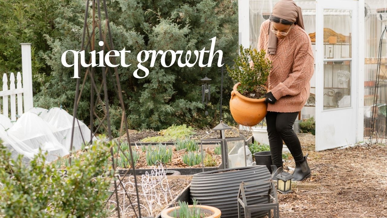 Февраль в саду ощущается как новое начало.