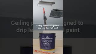 The Perfect Color Match! 🎨 Ace Hardware Paint &amp; Custom Mixing Guide