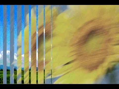 向日葵（ウクレレオリジナル曲）