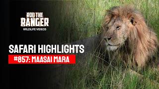 Safari Highlights 03 - 05 April 2026 Maasai Marazebra Plains Latest Sightings