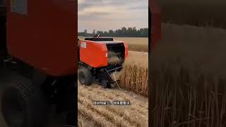 #Wheat straw baler Picking and baling machine