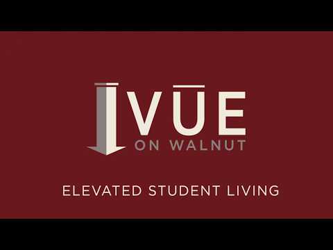 VUE ON WALNUT