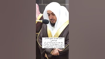 الوليد الشمسان سورة يوسف #الوليد_الشمسان