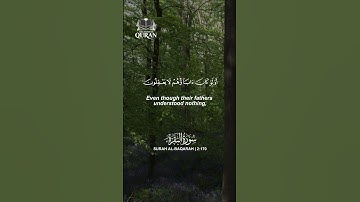 Surah Al-Baqarah 170-171 | (سورة البقرة)| Beautiful & Emotional Tilawat #القرآن_الكريم #سورة_البقرة