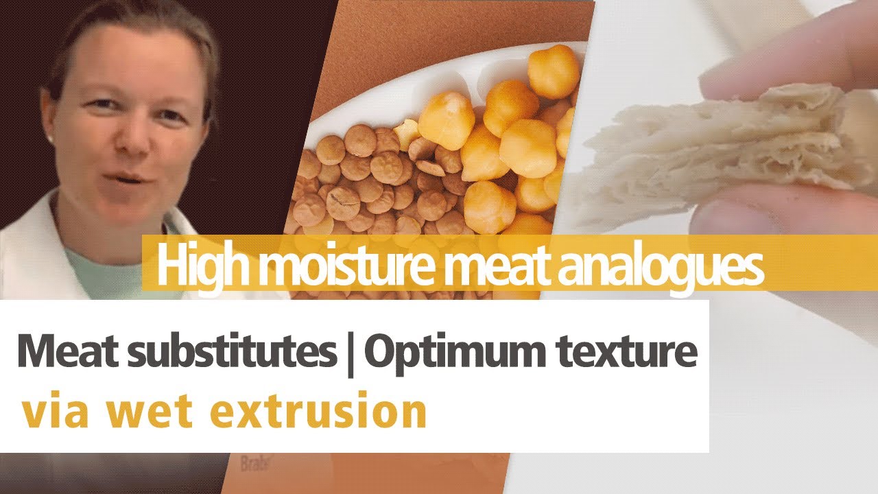 Produce high moisture meat analogues | Optimum texture
