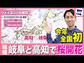 【速報】岐阜と高知で桜開花 今年全国で初めてソメイヨシノの開花発表