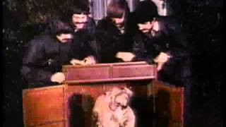 Monkeemania On Nickelodeon