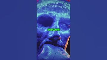 Consciousness Shift: Taylor