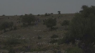 سورة الحشر | للقارئ عبدالله المرزوقي