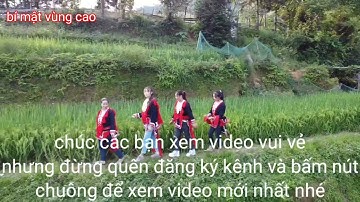 Cùng các cô gái dao đỏ Hà giang /ngắm cảnh ruộng bậc thang hoàng su phì