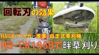 HAIGE社自走式草刈機のオプション4枚刃（回転刃）で畔草刈り - YouTube