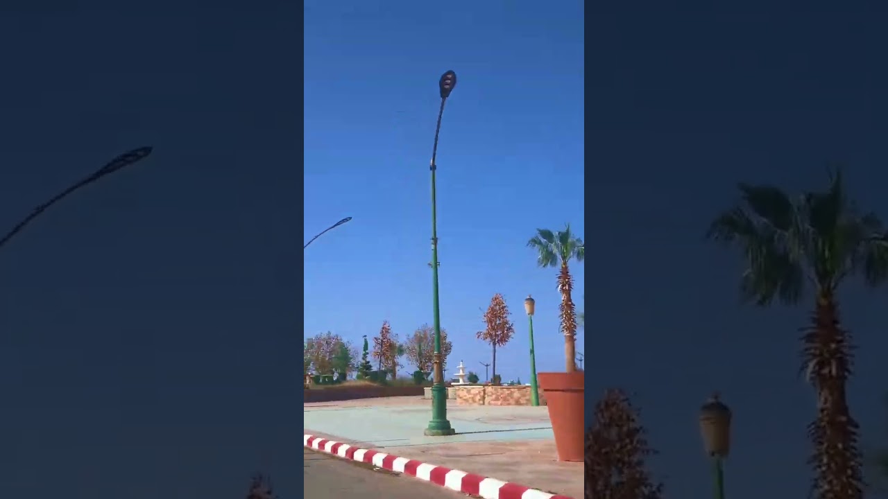 الشيخ صالح الفوزان