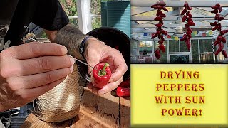 How To Use The Ancient Art of Sun Drying Peppers