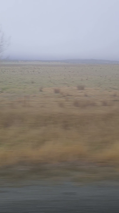 AU2505  tour 1day to Canberra The Capital NSW Australia 21