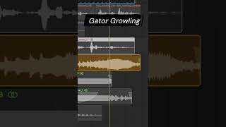 DIY Monster Sounds: How to Create a Creature Roar with Free Audio