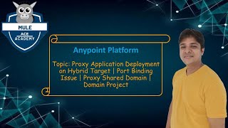 Proxy Application Deployment on Hybrid Target | Port Binding Issue | Proxy Shared Domain | Domain screenshot 1